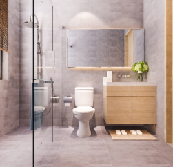 Budget to High-End
                            Bathroom Installations